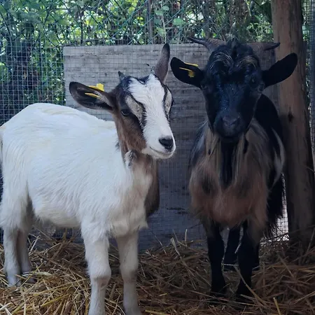 Casa de Férias Campagna In Compagnia *