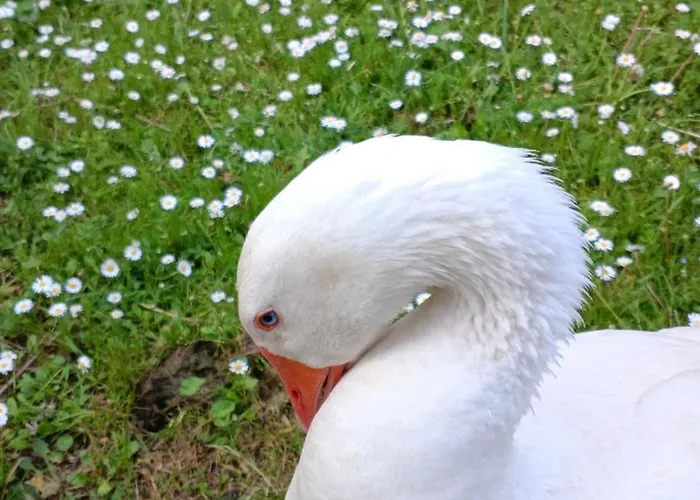 Campagna In Compagnia Casa de Férias *