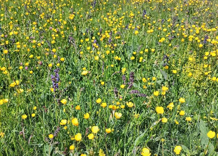 Casa de Férias Campagna In Compagnia *