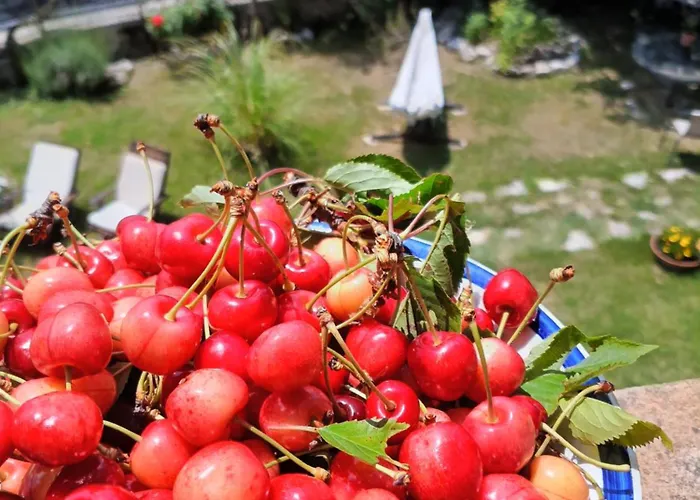 Campagna In Compagnia Meggiano